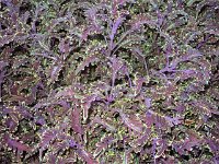 photos 2000-200902764